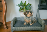 Let's Sleep Hundekorb Weide, Kissen, L, 95 x 68 x 28 cm, Anthrazit