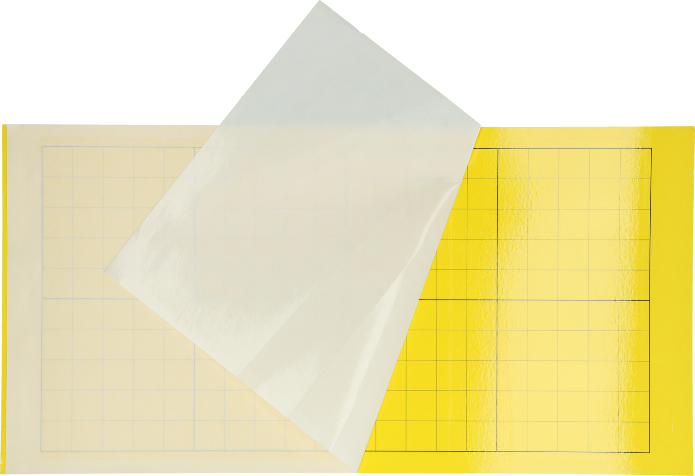 Insectron Klebeplatte, passend für Serie 200 und 300, 50,5 x 25,5 cm, 6 Stück