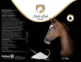 Excellent Horse Mineral Salzleckstein für Pferde 3 x 2 kg
