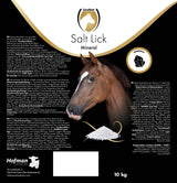 Excellent Horse Salzleckstein Mineral, 10 kg