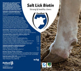 Excellent Leckstein, Biotin, 10 kg