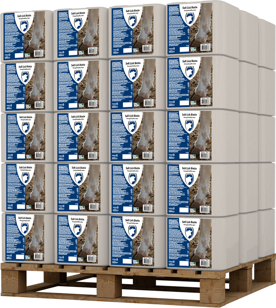 Excellent Leckstein, Biotin, 10 kg