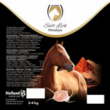 Excellent Horse Himalaya Salzleckstein für Pferd, Natursalz zur Mineralstoffversorgung