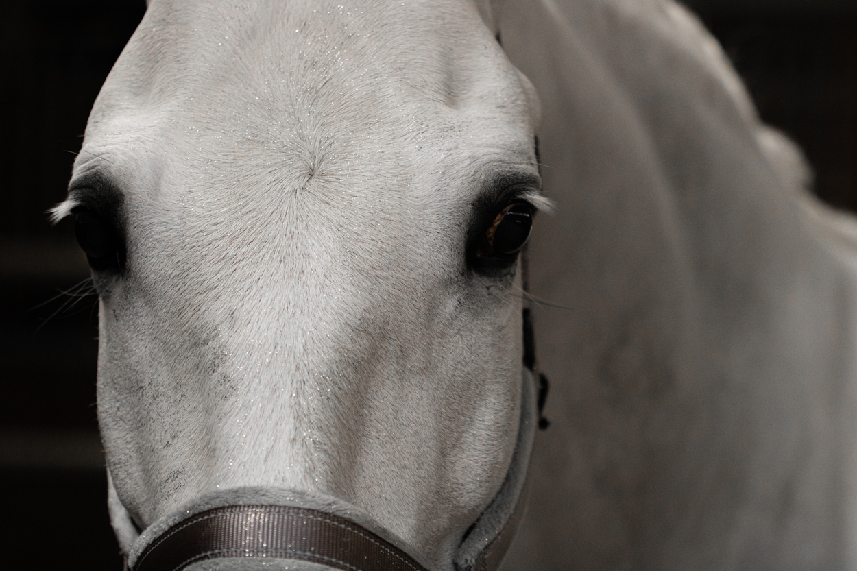 Lucky Horse Glitzerspray, Silber, 250 ml