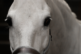 Lucky Horse Glitzerspray, Silber, 250 ml