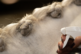 Lucky Horse Glitzerspray, Silber, 250 ml