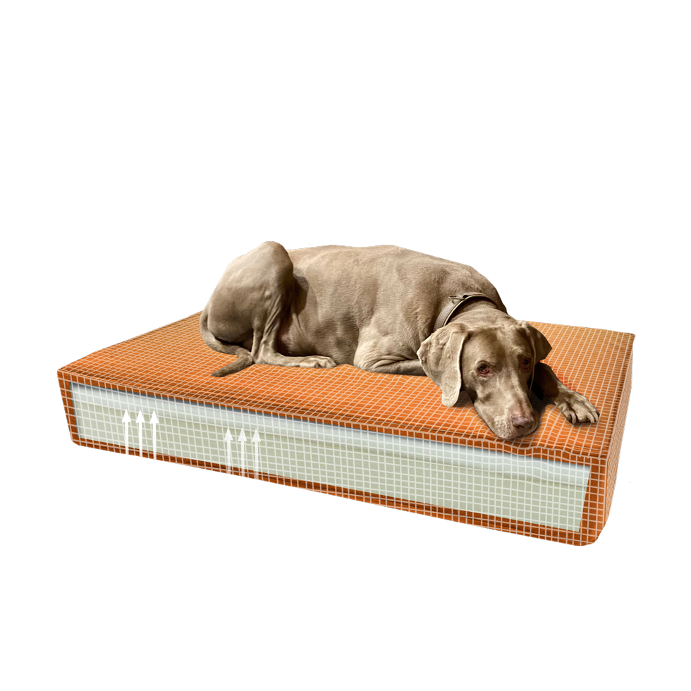 Madison orthopädisches Hundekissen, Velvet, Orange, S, 45 x 55 x 12 cm