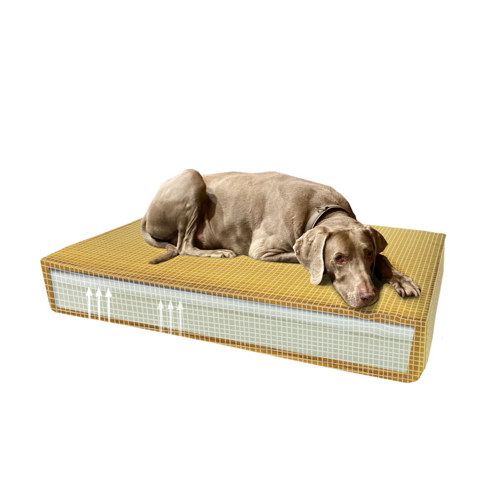 Madison Hundekissen orthopädisch, Velvet, gelb, S, 45 x 55 x 12 cm