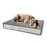 Madison Hundekissen orthopädisch, Velvet, gelb, S, 45 x 55 x 12 cm