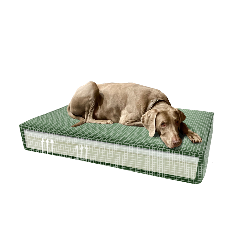 Madison orthopädisches Hundekissen, Memory-Schaum, Velvet, grün, S, 45 x 55 x 12 cm