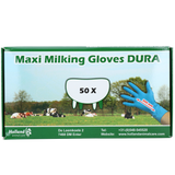 Holland Animal Care Melkhandschuhe DURA, S (6-7), 50 Stk