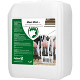 Excellent Maxi Mint+, Eutergel, 2,5 l