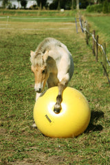 Maximus Spielball für Pferde, Kunststoff, gelb, Ø 65 cm