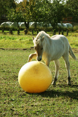 Maximus Spielball für Pferde, Kunststoff, gelb, Ø 65 cm