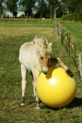 Maximus Spielball für Pferde, Kunststoff, gelb, Ø 65 cm