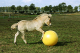 Maximus Spielball für Pferde, Kunststoff, gelb, Ø 65 cm