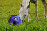 Maximus Pferdespielzeug, Kunststoff, Öffnung Ø 37 mm, blau
