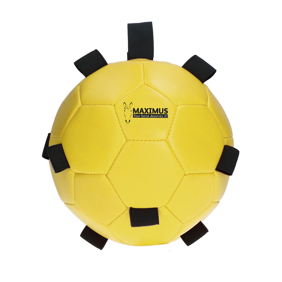 Excellent Horse Spielball, Gelb, Ø 19 cm