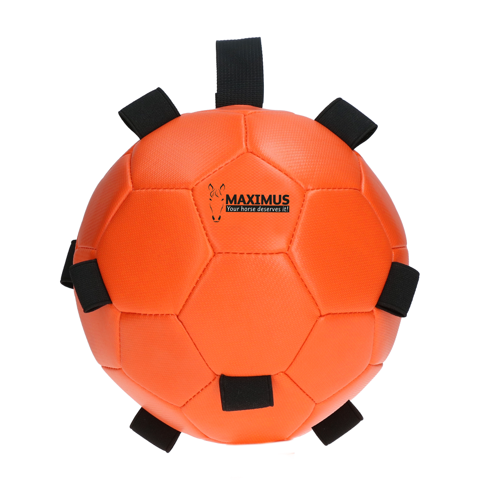 Excellent Horse Spielball, orange, Ø 19 cm