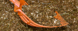 Dunggabel ohne Stiel, Polycarbonat 41 x 36 x 11 cm