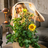GreenBox Plus