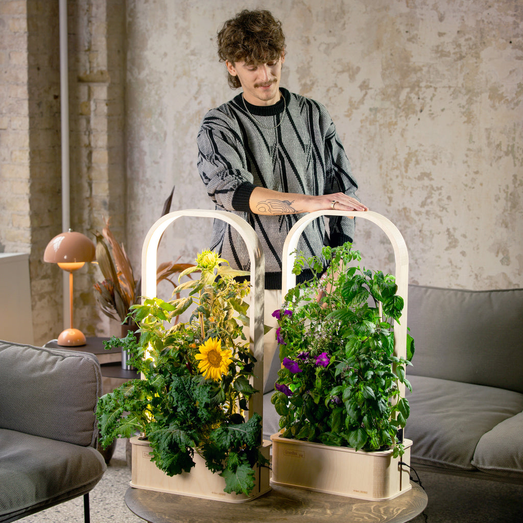 GreenBox Plus