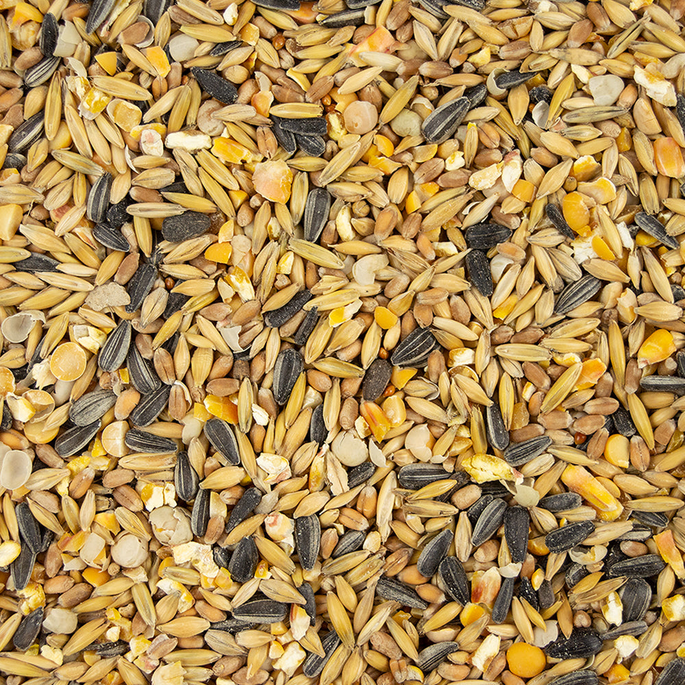 My Little Farm - Bio-Entenkorn 10 kg
