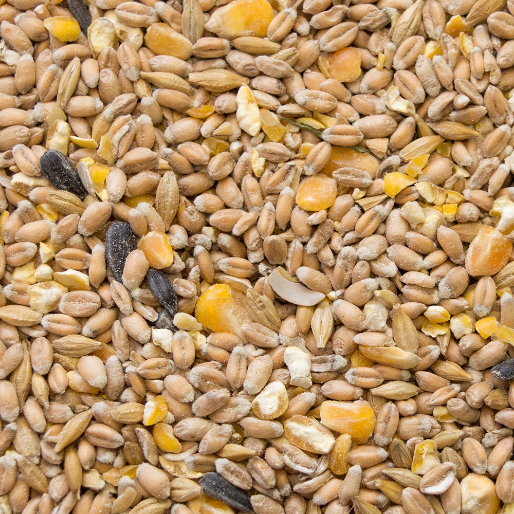 My Little Farm - Bio-Hennenkorn 10 kg