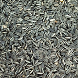 My Little Farm - Bio-Sonnenblumenkerne 10 kg
