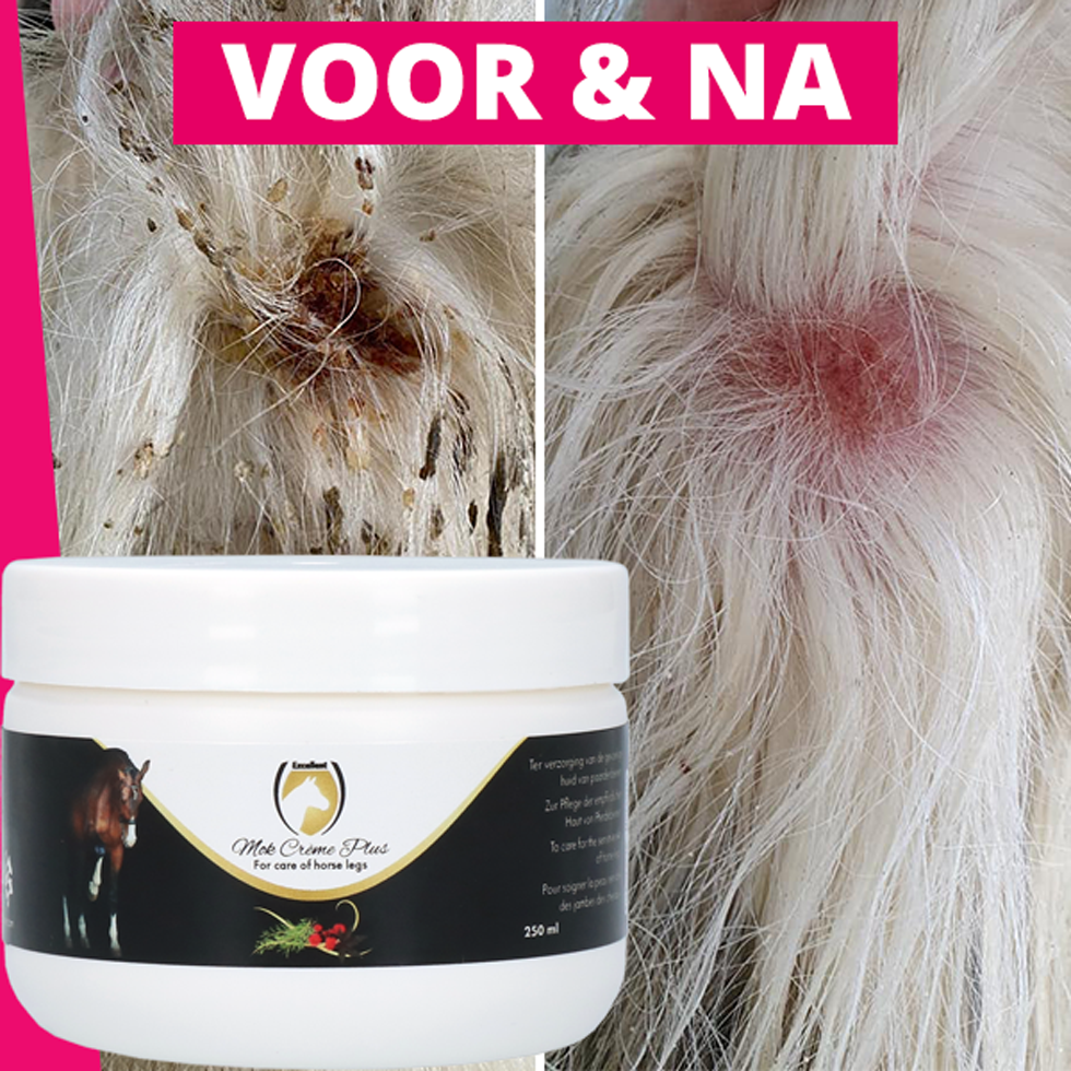 Excellent Horse Mud Fever Creme, für Pferdebeine, 250 ml