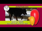 Jolly Pets Hundespielzeug, Ei, violett, 30 cm