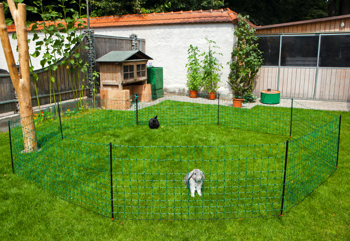 Kaninchennetz, 65 cm, Einzelspitze, 12 m