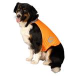 Nightwalk Sicherheitsweste für Hunde, reflektierend
