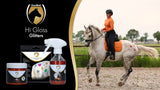 Excellent Horse Schablonen, Hi Gloss, 5 Stk