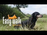 Easy Walk Schultergeschirr mit Leine, Mini, Rot, 300 cm