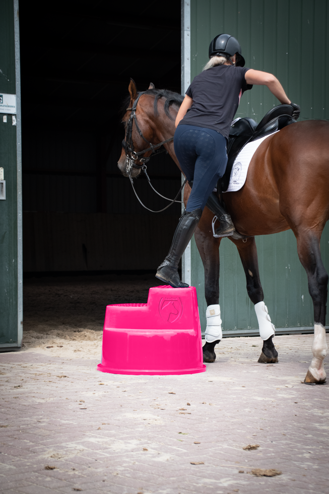 Excellent Horse Aufstiegshilfe, 3 Stufen, rosa, Höhe 55 cm, Ø 60 cm, max. Belastung 120 kg