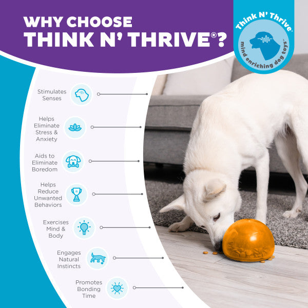 Outward Hound Hundespielzeug Orbee-Tuff Snoop, L, 12,5 x 12,5 cm, orange