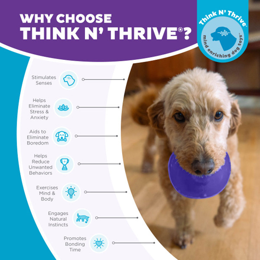 Outward Hound Hundespielzeug Orbee-Tuff Snoop, M, lila, 10 x 10 cm