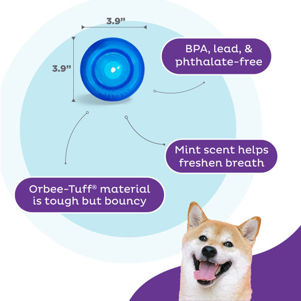 Outward Hound Hundespielzeug Orbee-Tuff Snoop, M, blau, 10 x 10 cm