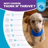 Outward Hound Hundespielzeug Orbee-Tuff Snoop, M, blau, 10 x 10 cm