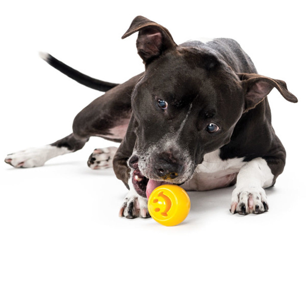 Outward Hound Hundespielzeug Orbee-Tuff Nooks, befüllbar, Gelb, 6 x 6 cm