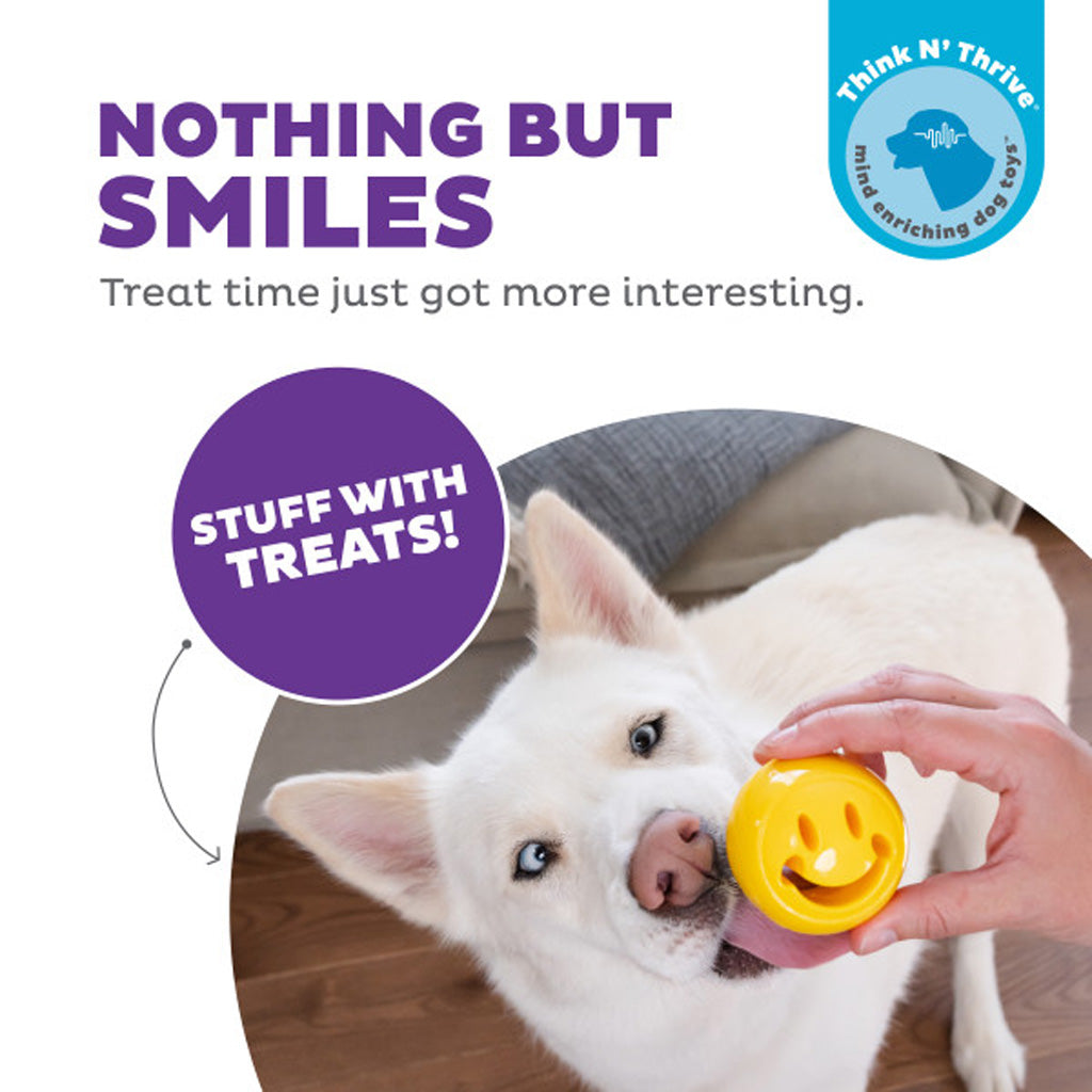 Outward Hound Hundespielzeug Orbee-Tuff Nooks, befüllbar, Gelb, 6 x 6 cm