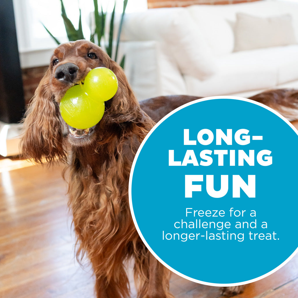 Outward Hound Double-Tuff, Kauspielzeug, L, grün, 12 x 7,5 cm