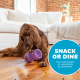 Outward Hound Hundespielzeug Double Snoop, Lila, 16 x 9 cm