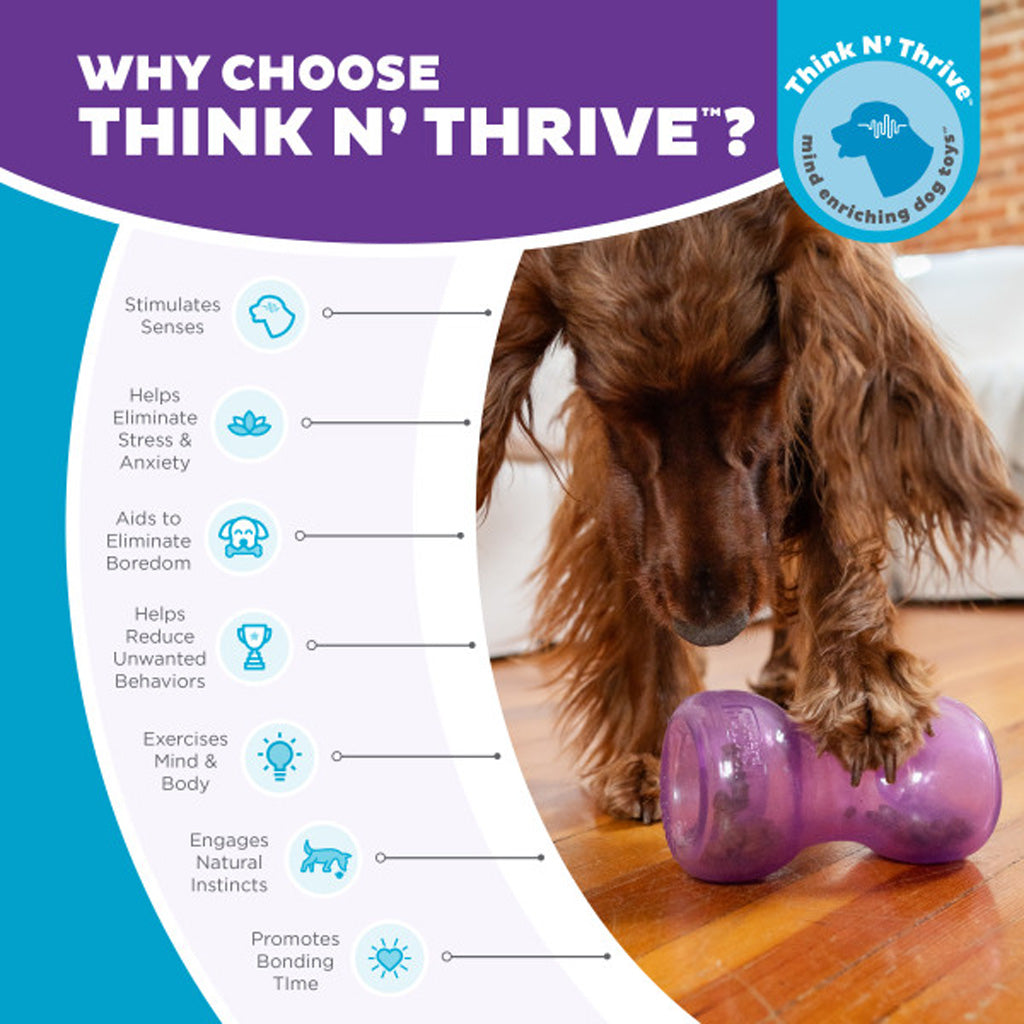 Outward Hound Hundespielzeug Double Snoop, Lila, 16 x 9 cm