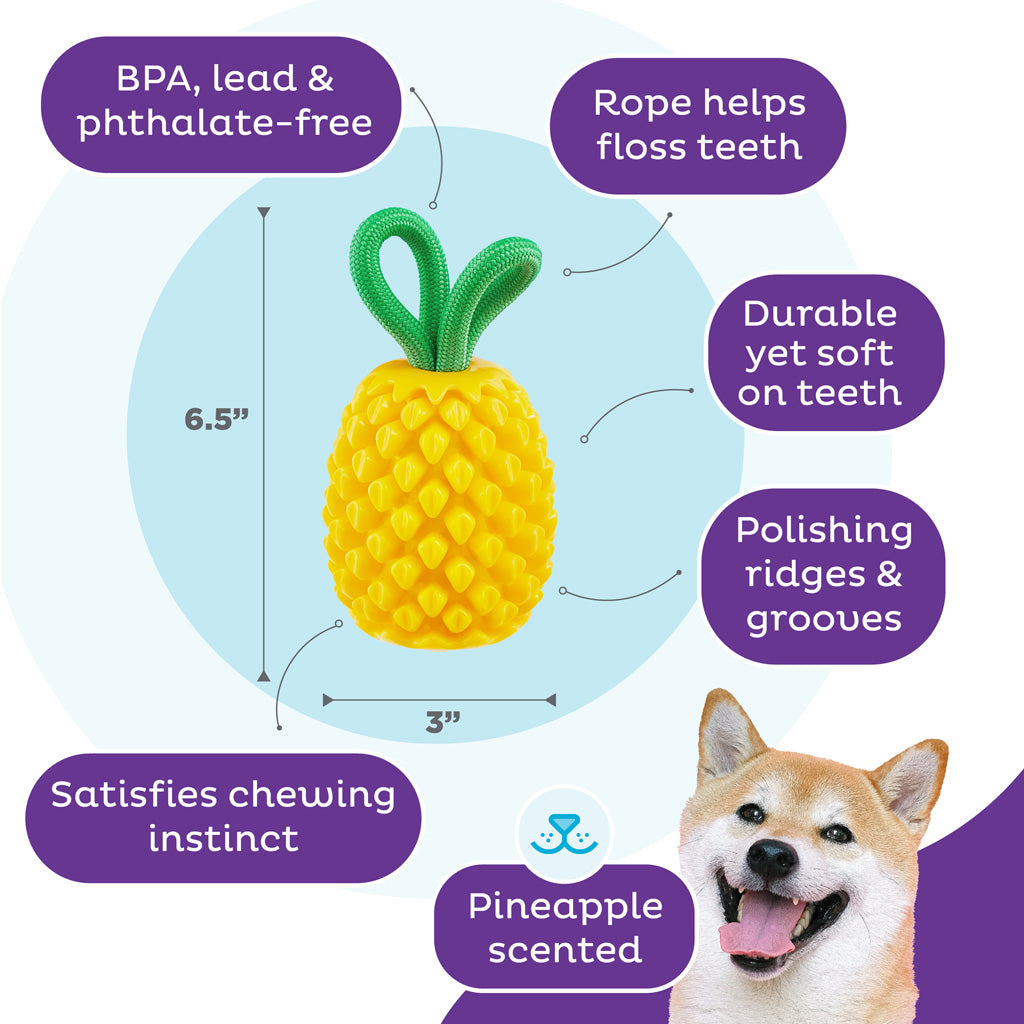 Outward Hound Kauspielzeug Dental Pineapple