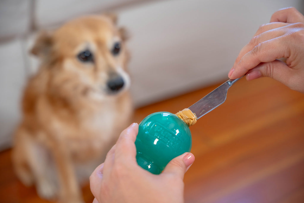 Outward Hound Hundespielzeug Double-Tuff, befüllbar, Minzduft, TPE, Größe M, blau, 10 x 6 cm