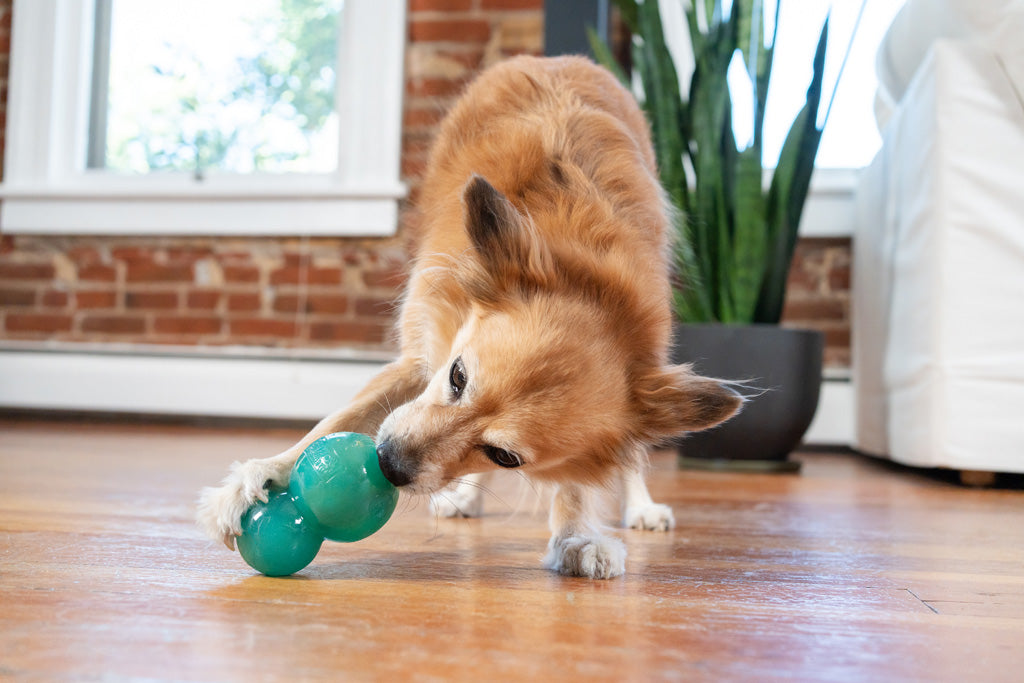 Outward Hound Hundespielzeug Double-Tuff, befüllbar, Minzduft, TPE, Größe M, blau, 10 x 6 cm