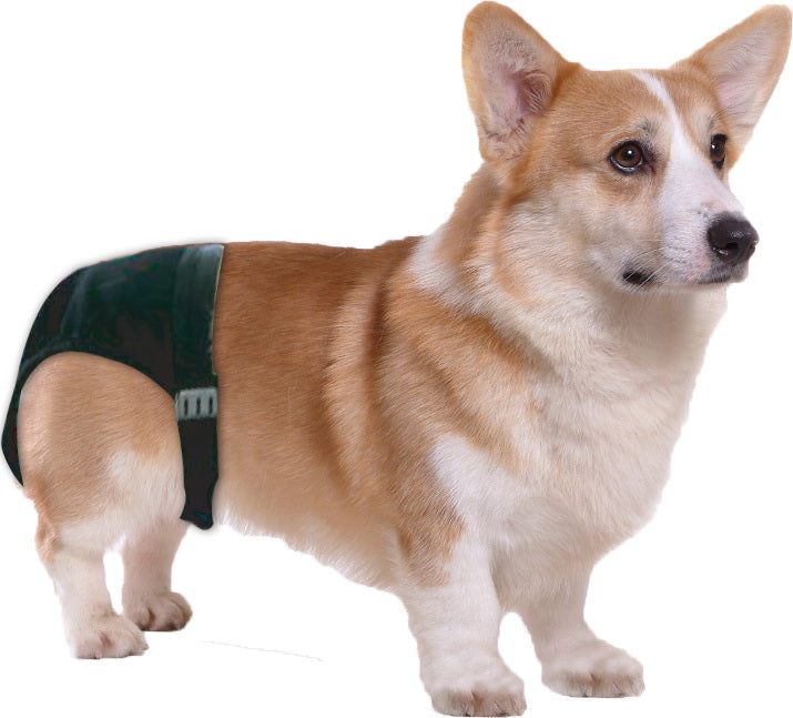 Pawise Schutzhose Hund, XS, Bauchumfang 16–23 cm