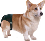 Pawise Schutzhose Hund, XS, Bauchumfang 16–23 cm